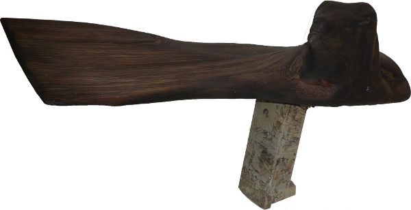 L'oiseau et la marée noire